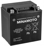 Minamoto YIX30L